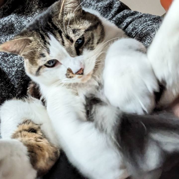 1f0798e2 2fd5 4fb1 8ca4 6615c4afc528 1709337626371