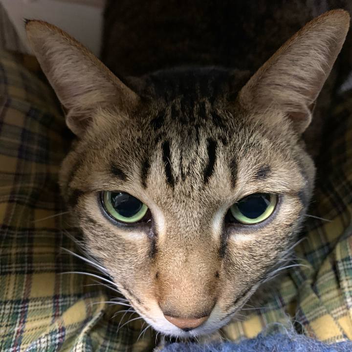 1f07a233 a347 49da 817a c6fd3c7497bd 1575433315243