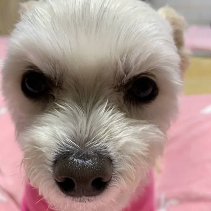 1f07ab49 ba38 42f2 8ff4 cdf0a8e70b2a 1579349657299