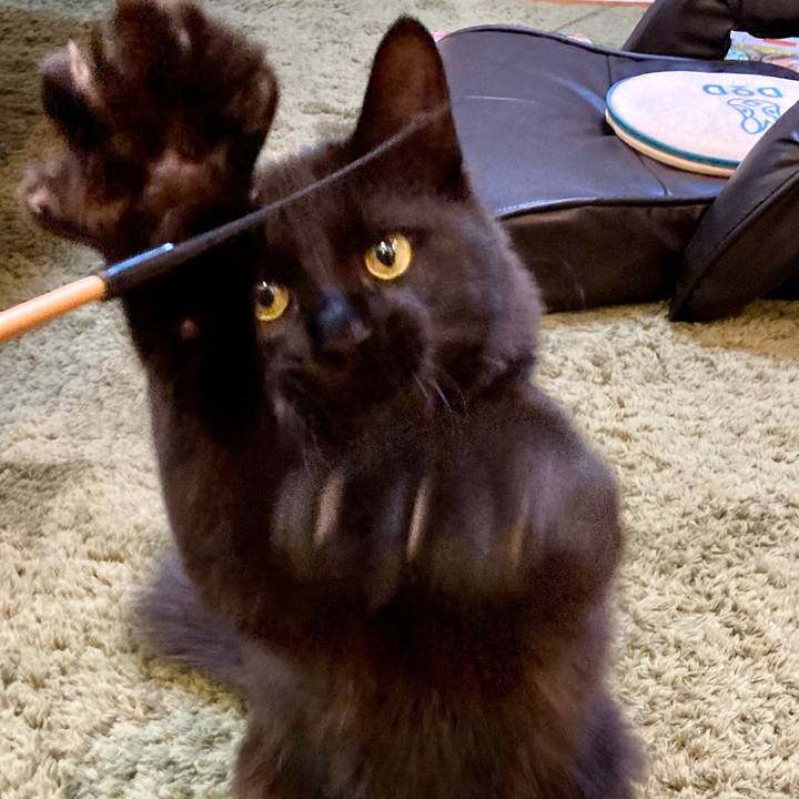 1f07d73e d6b1 4ca9 a49b c539a7b33a5d 1714037394506