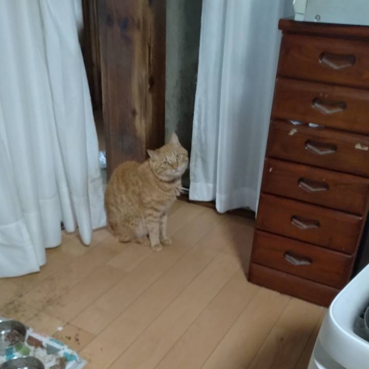 1f07e94e 8689 43cc 80b8 e453bda0399b 1687475659477