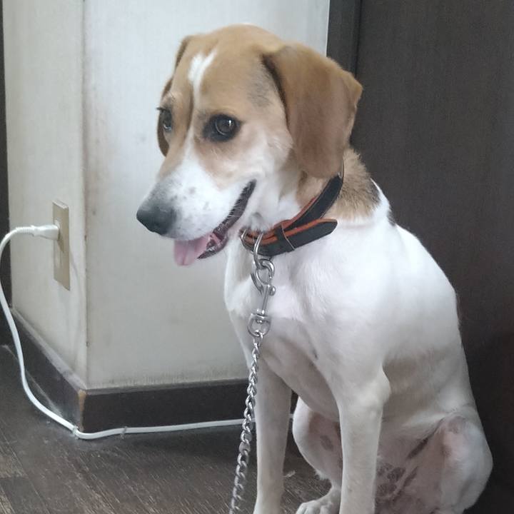 1f07f34a 2799 4444 b9f2 1eed6b716241 1626337377508