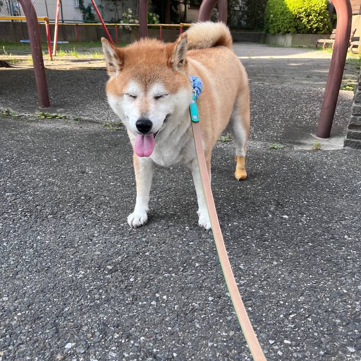 1f080a57 b255 4a8b bc7c ed7b95860002 1720392599844