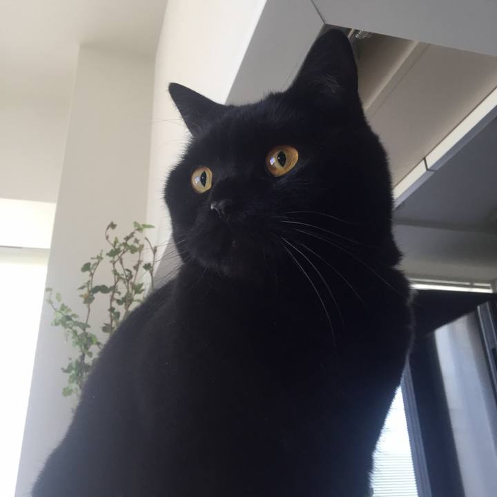 1f081e12 6b9d 4dfe 9cdc c31652b68629 1556495936478