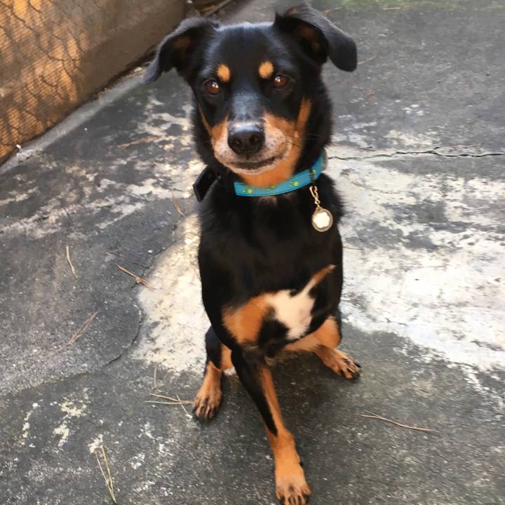 1f08295f 0a75 4bdf 87ec ec895f36d9af 1510225369627