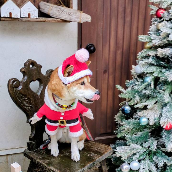 1f085d1a e5fc 480c b3ee 2c78bdeb01ce 1766647822653