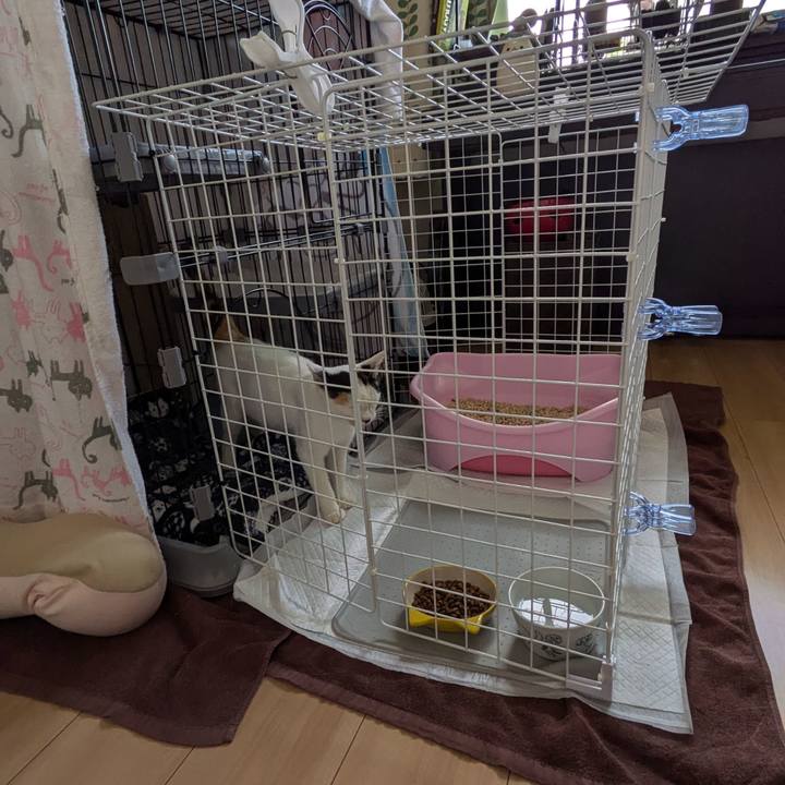 1f089e93 f150 46da af3f 4a1c11b1b1bf 1719041310672