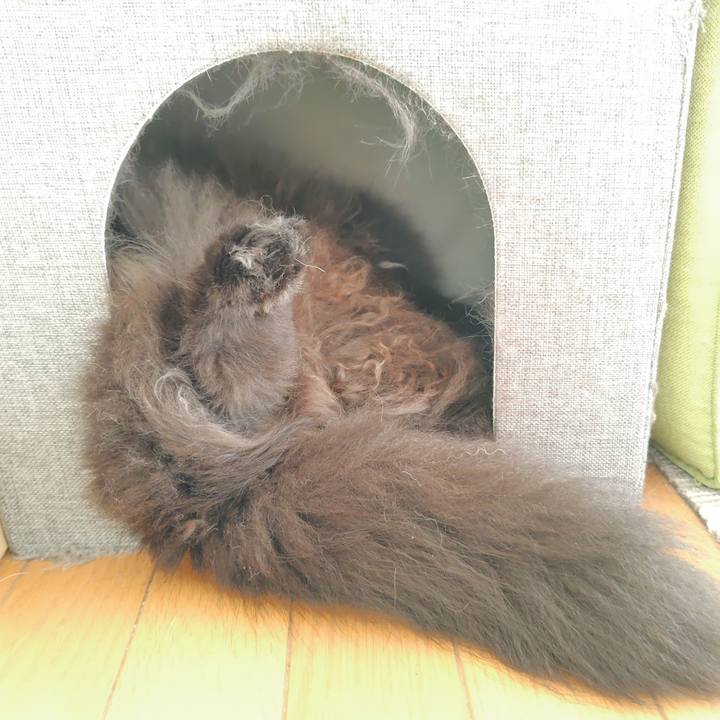 1f08c2e4 1828 4d7e b5ff 9a2b4e49a5fc 1724910774234