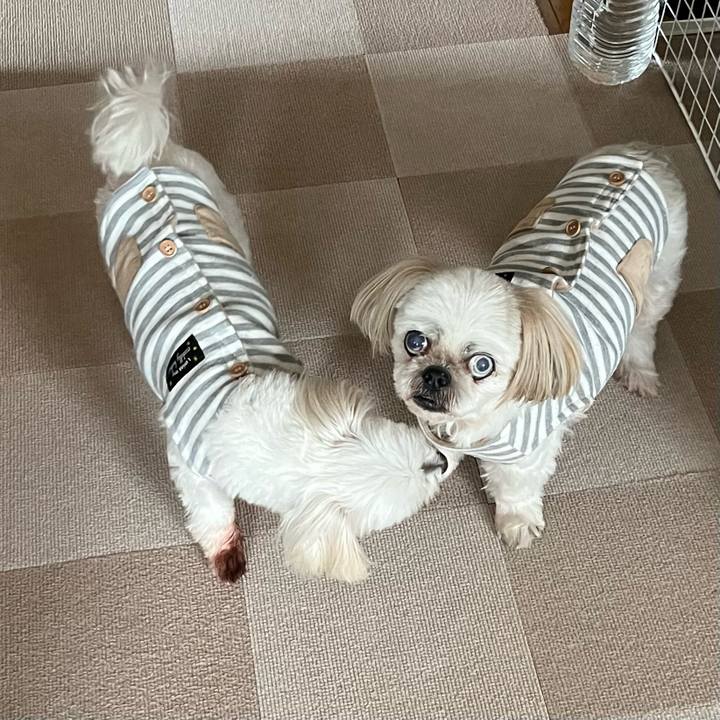 1f08cc2d ae63 44f1 ad08 6290424956f0 1699595779558