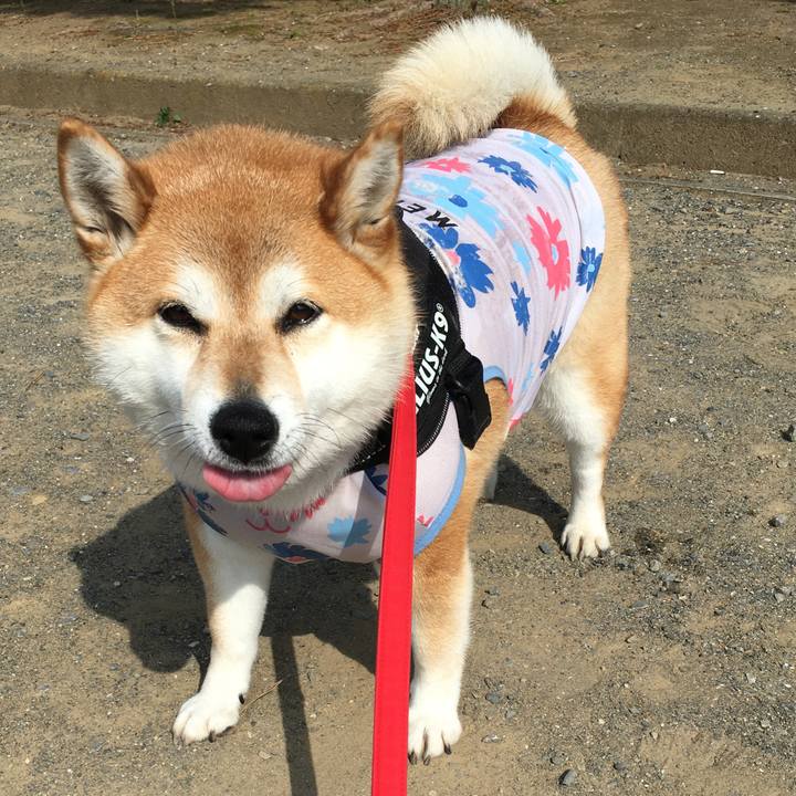 1f08f61e c76d 4d63 87f7 0ac6ff14e5a3 1591659223579