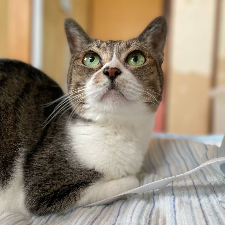 1f093fd2 1776 4866 90fc cd18708f9284 1653877006306