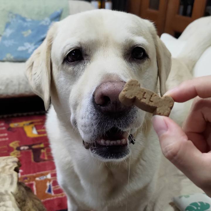 1f09d44f 893f 458f a75f 3fe867a3f4de 1660908464912