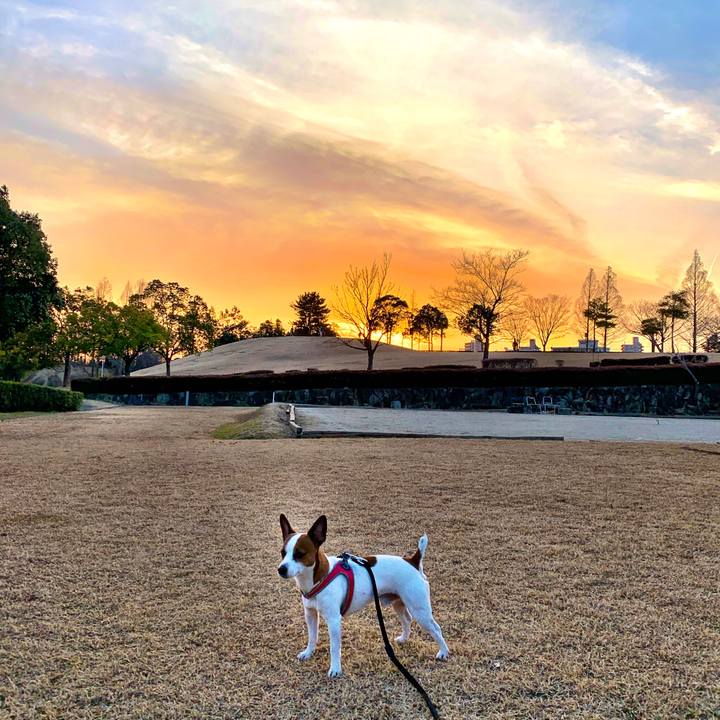 1f09e16b 9600 4697 80da 9e910110cb0d 1550494418570