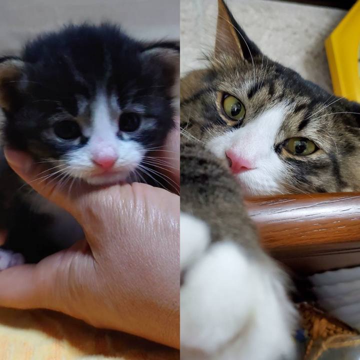 1f0a0e9c 59fe 4e6a ac35 5e67dc6458e5 1686320835725