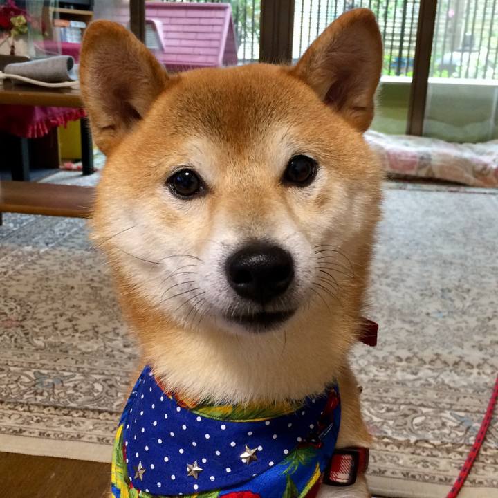 1f0a14b6 3566 43a7 8899 937e1dda1101 1508550243093