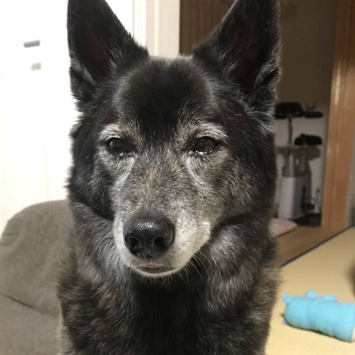 1f0a242b 7dd5 48d1 9e67 2df763853bda 1593264822048