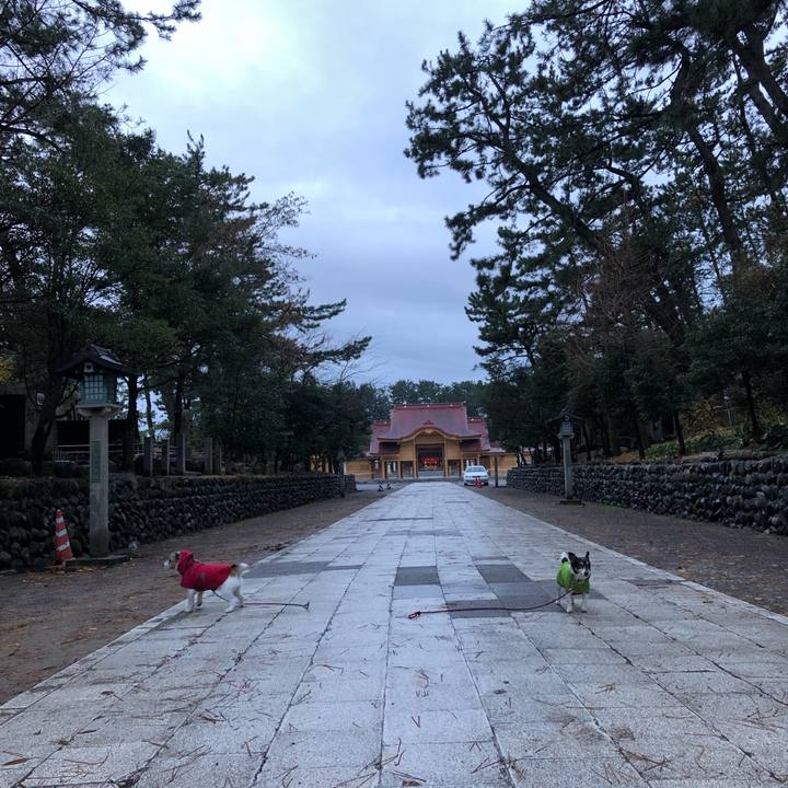 1f0a348f 7b81 4445 ba19 461ecef79435 1545004914429