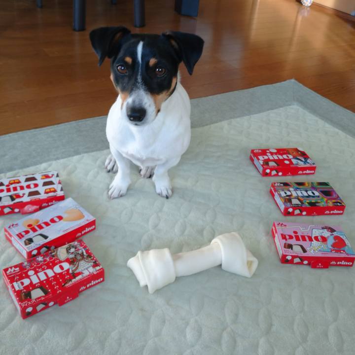 1f0a36fd 42dc 41db beb2 ebe77af30fa8 1606880758866