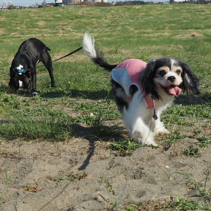 1f0a5db0 cf0b 4f00 92ec a1a5bb91f31e 1540099558431