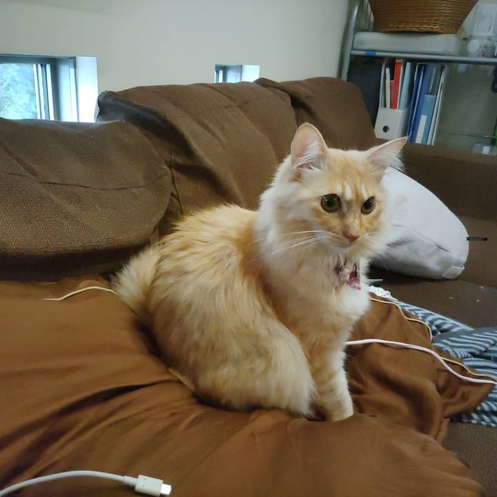 1f0a5ea3 7e80 436a 9a1b eb5274c74dbb 1666063367451