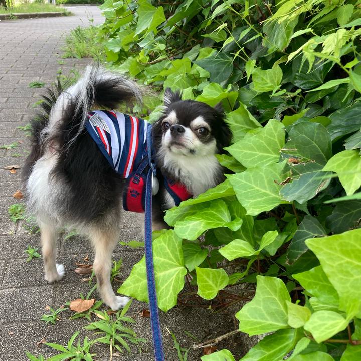 1f0a6406 d3d5 4d10 b995 830f5d2d6612 1718467760451