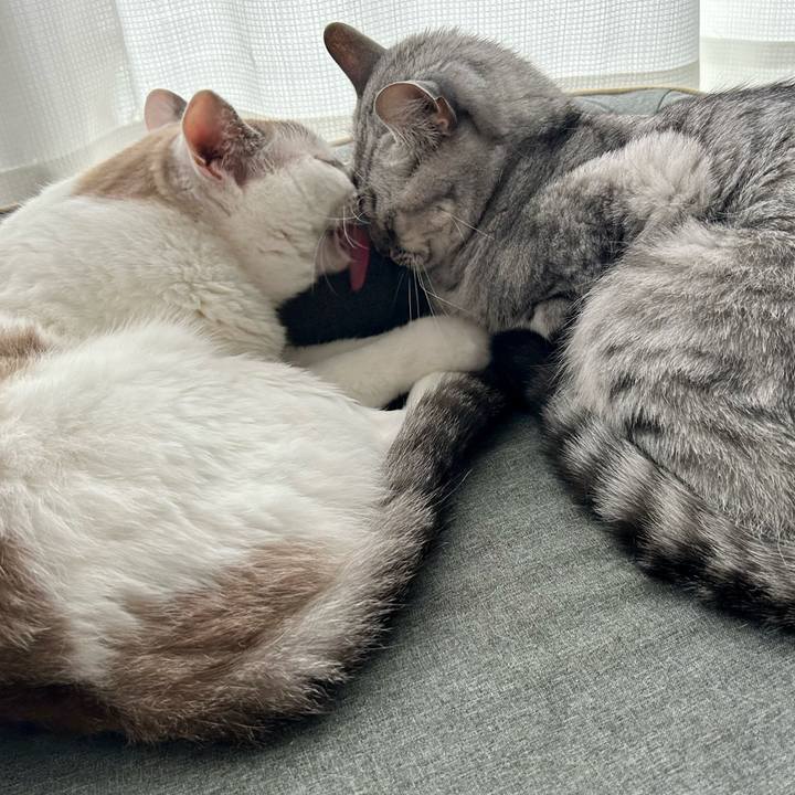 1f0a82e2 157e 4635 a507 7d26b49b20f4 1695862685674