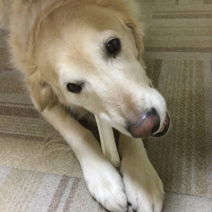 1f0a85f1 50c7 429e a490 0cfefc2b9e00 1551240501083