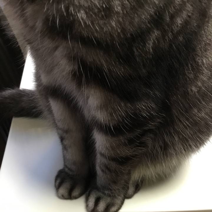 1f0a9092 9118 41d0 a4ce a8c138e78b75 1764283864095