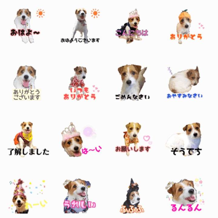 1f0a95eb 8308 40f2 bfe1 2ebd6a0d3864 1576936925066