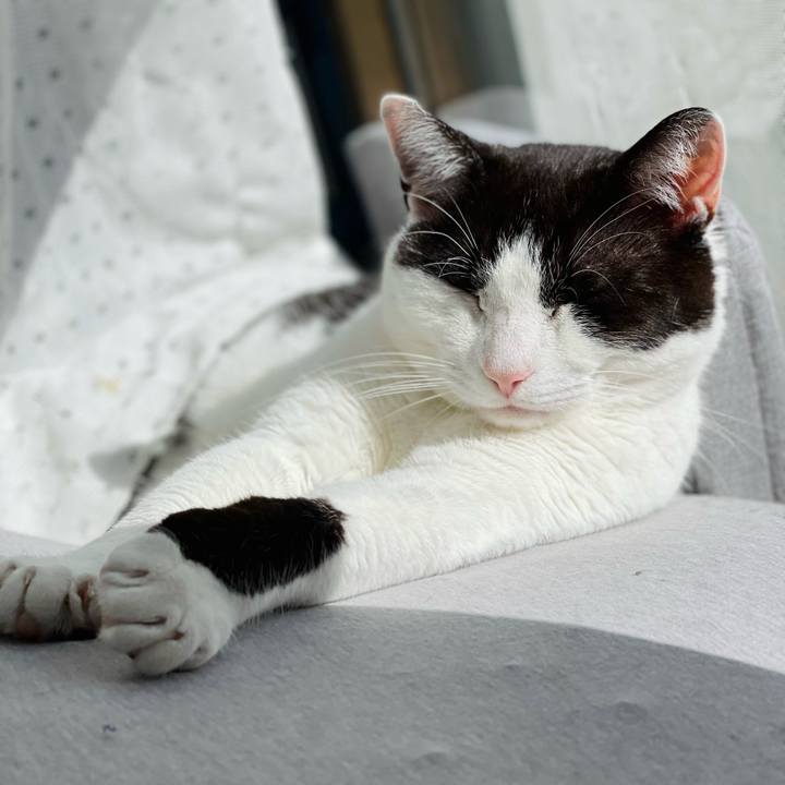 1f0a9669 4c1b 4631 bacb a9cf9637ee05 1648774064943