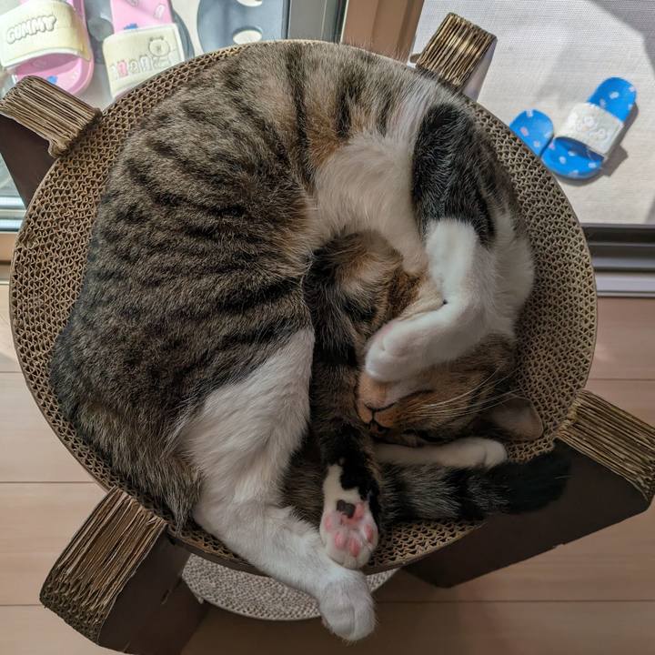 1f0aa1cf 93cb 4945 aa60 5cc355fe720e 1687308587405