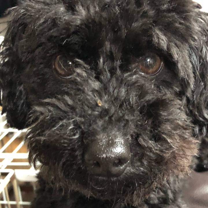 1f0aae3f 8dc9 4231 a82d 073416701c6e 1524666354096