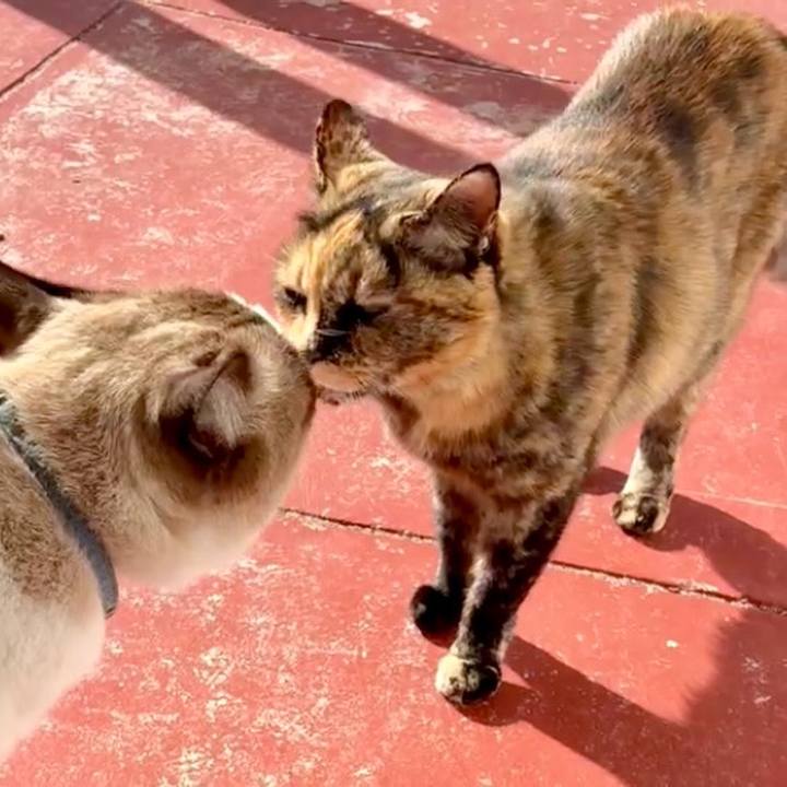 1f0ab31b c4e9 4c57 a0d9 f7e07427cebb 1764902154125