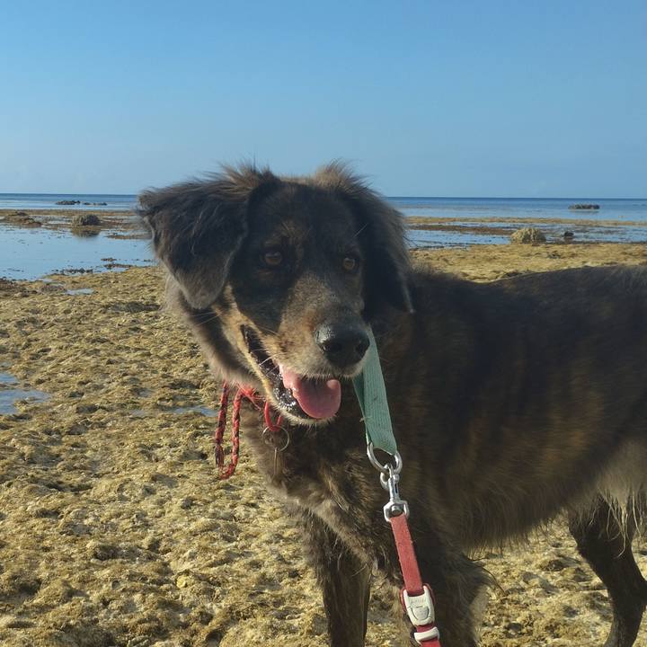 1f0b3231 c1cc 48cd b203 854e87fa0d6b 1686539666411