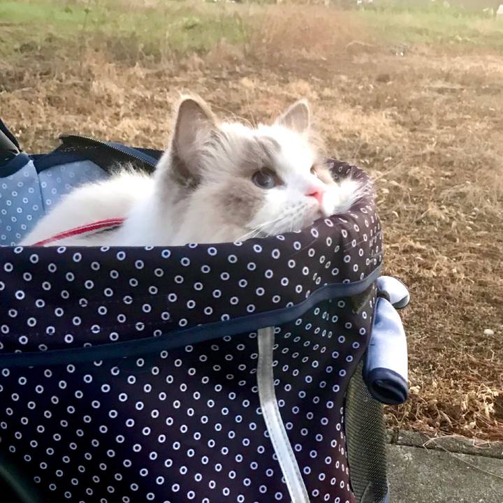 1f0b459d d49f 4dfa 82a9 d9fca0068feb 1637067443193