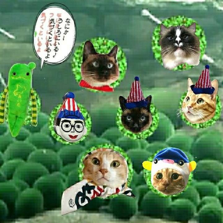 1f0b5de1 9402 46da 8a88 fa4cc313ef8c 1525345102330