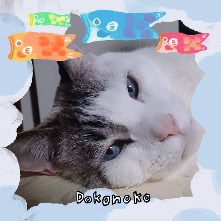 1f0b6b47 7037 4db2 ae2f 50a98bb7f10f 1749353433918