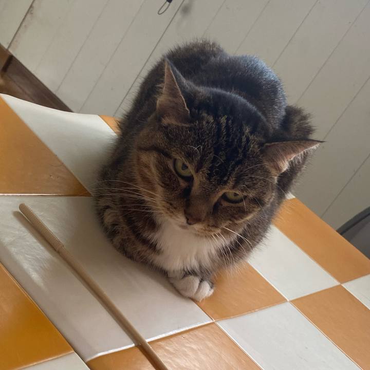 1f0b71a0 7acd 4306 bb6b 5c3010f208cf 1752822652447