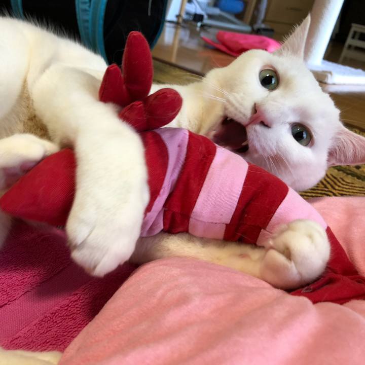 1f0b7dd9 19f7 4353 82e4 e9f08e09903d 1615687255556