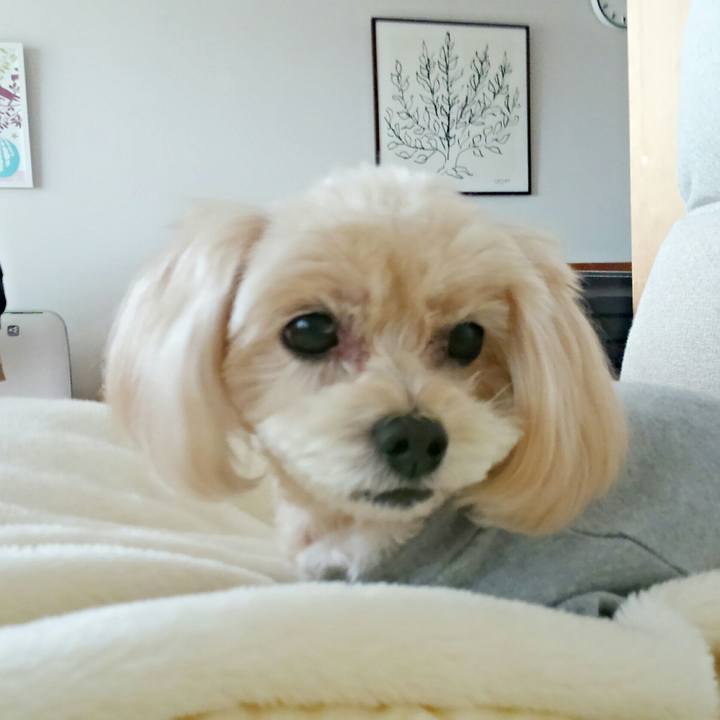 1f0b7f86 4874 4422 bb0a 314f109998fb 1511065962492