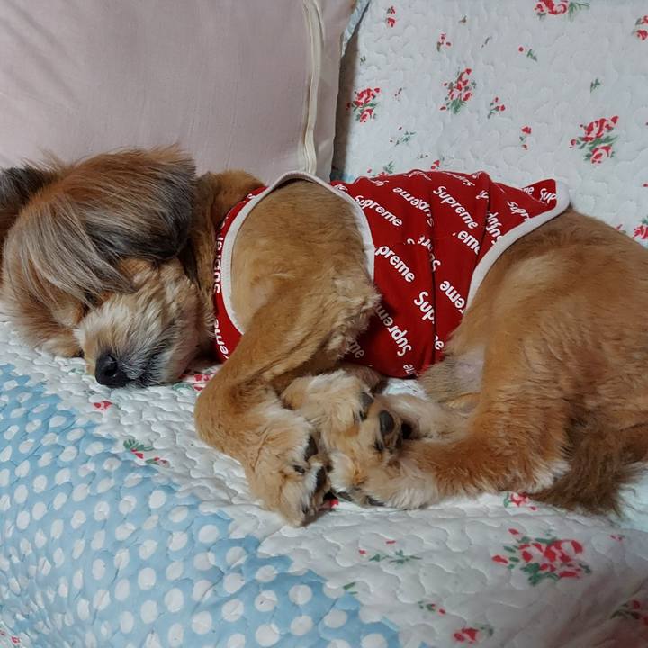 1f0bc229 edbc 40bf 8658 14de98693474 1617108165851