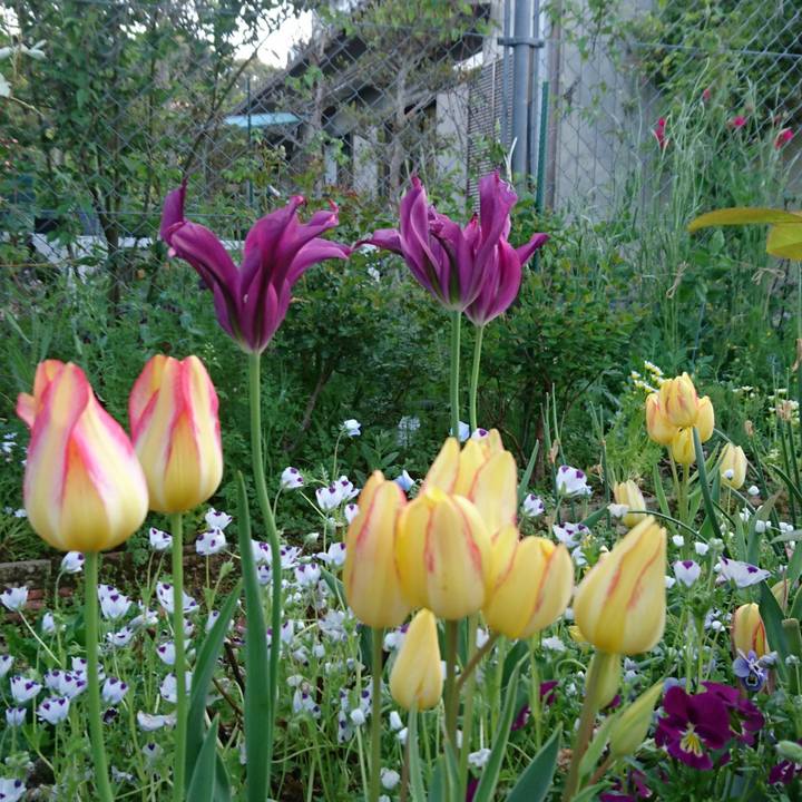 1f0bca3c 5e4a 4206 93c0 07bab39c1a94 1524131369631