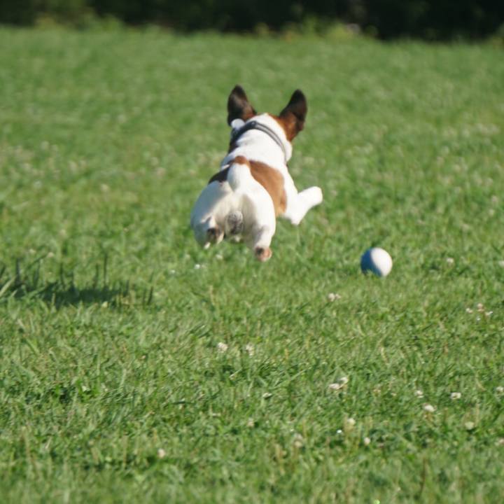 1f0bcf3b 9997 4290 ac74 efc84373da30 1597101204137