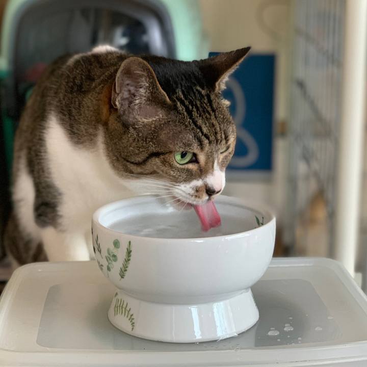 1f0bd5a2 7eb7 4a4b 8a45 e863b7f2768b 1560733133436