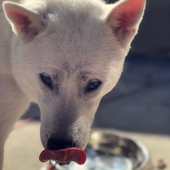 1f0c00ae 4d8c 4b3c 95bb 8276ac3cdfd0 1549277777634