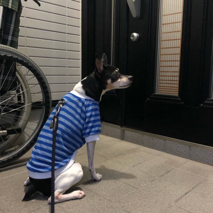 1f0c2e04 0807 491a ae61 522846ca9786 1522192916982