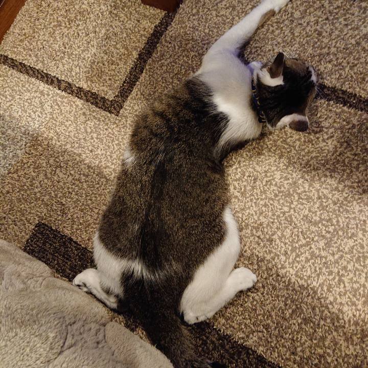 1f0c5b6b 5133 49fc 9efc df1006587d42 1577189220908