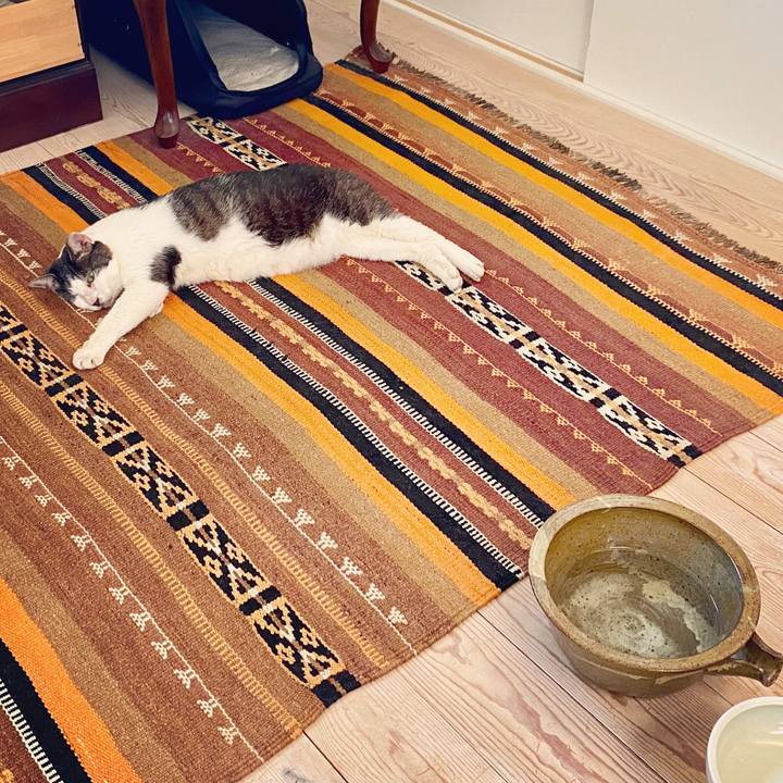 1f0c8cf3 646e 450a 8d77 95ba6afc5026 1597125354246