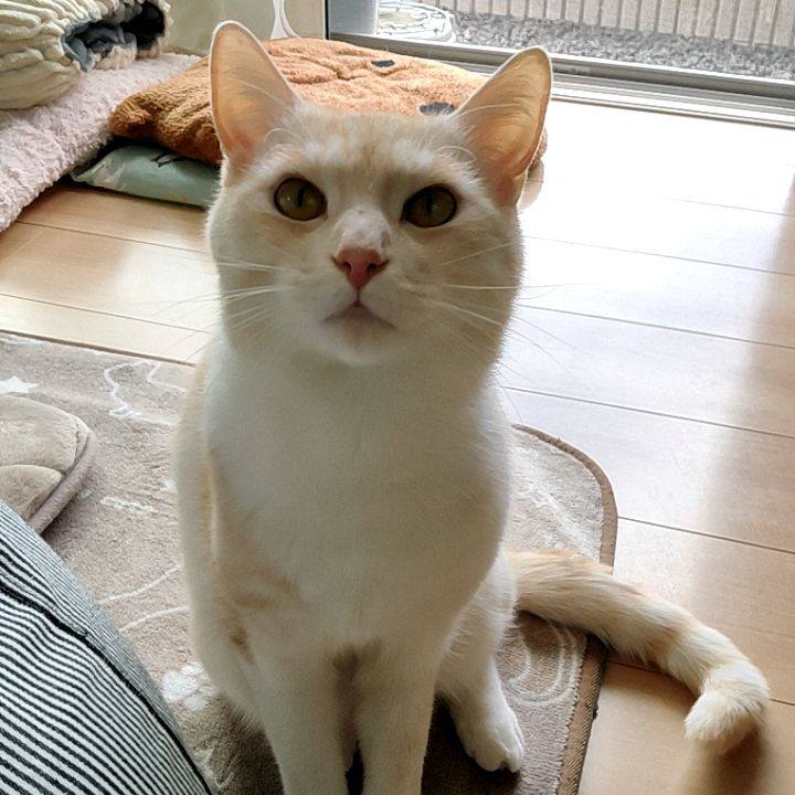 1f0cabed 6681 483a aed0 e4776ebf5399 1682986908107