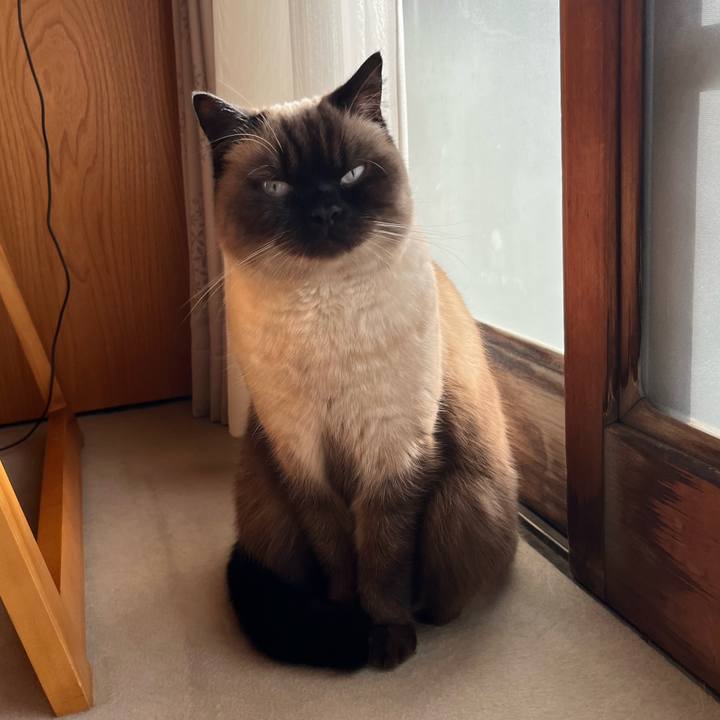 1f0cf006 1604 4d8b a7d0 e0d14308cf2c 1639655242603